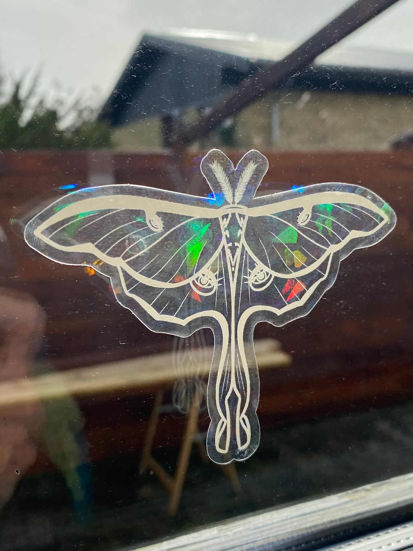 Moth Suncatcher